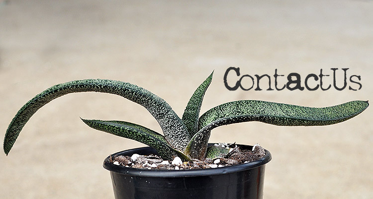 Contact Planty Plant Place